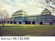 The winter Palmenhaus Schoenbrunn is a large greenhouse in Wien, Austria. Стоковое фото, агентство Ingram Publishing / Фотобанк Лори