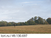 Group Of Men On A Driven Game Shoot. Стоковое фото, агентство Ingram Publishing / Фотобанк Лори