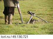 Driven Pheasant Shooting. Стоковое фото, агентство Ingram Publishing / Фотобанк Лори