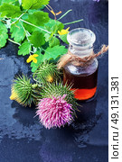 Flower and burdock extract. Buds medicinal wild plants burdock and burdocks medicinal tincture. Стоковое фото, агентство Ingram Publishing / Фотобанк Лори