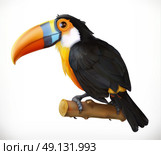 Toucan. 3d vector icon. Стоковая иллюстрация, агентство Ingram Publishing / Фотобанк Лори