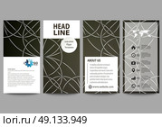 Flyers set, modern banners. Business templates. Cover design template, easy editable vector layouts. Celtic pattern. Abstract ornament, geometric vintage texture, medieval classic ethnic style.. Flyers set, modern banners. Business templates. Cover design template, easy editable abstract vector layouts. Celtic pattern. Abstract ornament, geometric vintage texture, medieval classic ethnic style. Стоковая иллюстрация, агентство Ingram Publishing / Фотобанк Лори