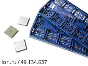 AMD CPU. AM4 Ryzen. Original packing of AMD processors. Стоковое фото, агентство Ingram Publishing / Фотобанк Лори