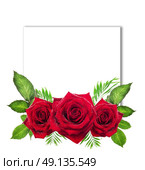 Sign card with roses and leaves on white background. Стоковое фото, агентство Ingram Publishing / Фотобанк Лори