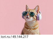 Портрет стильного кота в ярких солнцезащитных очках и наушниках на однотонном розовом фоне. Стоковое AI-изображение, AI-художник Наталия Ануфриева / Фотобанк Лори