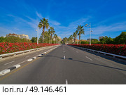 Valencia Puente de las Flores flowers bridge in Spain. Стоковое фото, агентство Ingram Publishing / Фотобанк Лори