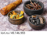 Healing gathering roots and herb. pestle and three mortar with herbs comfrey, inonotus obliquus and calendula. Стоковое фото, агентство Ingram Publishing / Фотобанк Лори