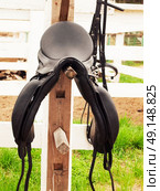 dressage saddle at  the bracket. outdoor . Стоковое фото, агентство Ingram Publishing / Фотобанк Лори