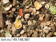 natural  muesli  background. for horse. macro. Стоковое фото, агентство Ingram Publishing / Фотобанк Лори