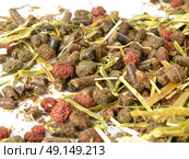grass natural granule for horses background. Стоковое фото, агентство Ingram Publishing / Фотобанк Лори
