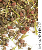 grass granule for horses background. Стоковое фото, агентство Ingram Publishing / Фотобанк Лори
