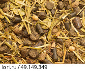 ligth muesli  with herbs for horse background. close up. Стоковое фото, агентство Ingram Publishing / Фотобанк Лори
