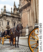 Detail of Seville Cathedral, Andalusia,  Spain cloudy day. Стоковое фото, агентство Ingram Publishing / Фотобанк Лори