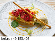 Steak Tartare with mustard ice-cream and airbag starter Tartar recipe. Стоковое фото, агентство Ingram Publishing / Фотобанк Лори