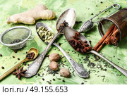 Herbs and spices for tonic tea. spices for an invigorating for the masala tea. Стоковое фото, агентство Ingram Publishing / Фотобанк Лори