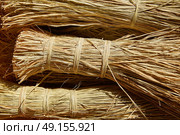 Esparto halfah grass used for crafts as cords basketry and espadrilles. Стоковое фото, агентство Ingram Publishing / Фотобанк Лори