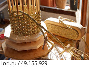 Esparto halfah grass used for crafts as cords basketry and espadrilles. Стоковое фото, агентство Ingram Publishing / Фотобанк Лори