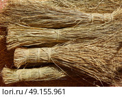 Esparto halfah grass used for crafts as cords basketry and espadrilles. Стоковое фото, агентство Ingram Publishing / Фотобанк Лори