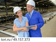 giving compromise. Стоковое фото, агентство Ingram Publishing / Фотобанк Лори