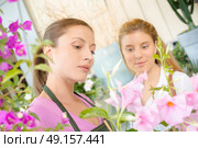 the florist. Стоковое фото, агентство Ingram Publishing / Фотобанк Лори