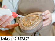 Cobbler gluing a sole to a shoe. Стоковое фото, агентство Ingram Publishing / Фотобанк Лори