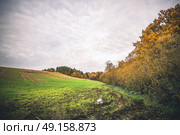 Muddy field with a puddle in the fall in a rural environment with colorful trees in golden autumn colors. Стоковое фото, агентство Ingram Publishing / Фотобанк Лори