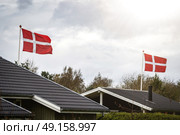 Danish flag celebration in a countryside neighborhood with small houses and flagstaffs. Стоковое фото, агентство Ingram Publishing / Фотобанк Лори
