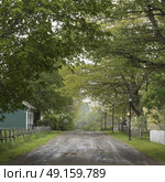 Trees with houses along road in village, Sherbrooke, Nova Scotia, Canada. Стоковое фото, агентство Ingram Publishing / Фотобанк Лори