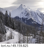 Scenic view of snowcapped mountain range, Improvement District No. 12, Maligne Lake, Jasper, Jasper National Park, Alberta, Canada. Стоковое фото, агентство Ingram Publishing / Фотобанк Лори