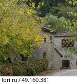 Houses amidst trees in village, Badiaccia a Montemuro, Radda in Chianti, Tuscany, Italy. Стоковое фото, агентство Ingram Publishing / Фотобанк Лори