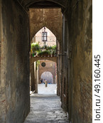 Buildings along narrow alley, Siena, Tuscany, Italy. Стоковое фото, агентство Ingram Publishing / Фотобанк Лори