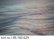 Surface of the water on the Lake at dusk, Lake of The Woods, Ontario, Canada. Стоковое фото, агентство Ingram Publishing / Фотобанк Лори
