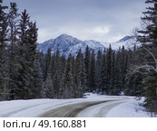Trees with snowcapped mountain range in the background, Highway 16, Yellowhead Highway, Jasper, Jasper National Park, Alberta, Canada. Стоковое фото, агентство Ingram Publishing / Фотобанк Лори