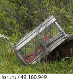 Abandoned crab pot at harbor, Moser River, Marine Drive, Nova Scotia, Canada. Стоковое фото, агентство Ingram Publishing / Фотобанк Лори