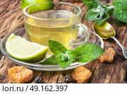 Tea with mint and lemon. Glass cup with tea with lemon and mint on a saucer. Стоковое фото, агентство Ingram Publishing / Фотобанк Лори