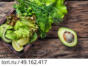 detox vegetable lettuce. Vegetarian salad with Lollo Rossa,avocado and lime.Salad leaf. Стоковое фото, агентство Ingram Publishing / Фотобанк Лори