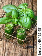healthy green smoothie with basil. Freshly blended green basil smoothie in glass jar on wooden table. Стоковое фото, агентство Ingram Publishing / Фотобанк Лори