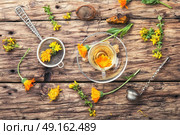 Herbal tea with calendula flowers. Herbal tea with decoction of marigold flowers. Стоковое фото, агентство Ingram Publishing / Фотобанк Лори