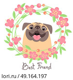 Happy pug. Best friend - dog and wreath of flowers in the style of cartoon. Happy pug. Best friend - dog and wreath of flowers in the style of cartoon. Vector illustration. Стоковая иллюстрация, агентство Ingram Publishing / Фотобанк Лори