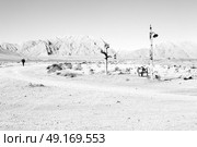 chair in iran blur old dead tree in the empty desert of persia lamp oil on branch. Стоковое фото, агентство Ingram Publishing / Фотобанк Лори