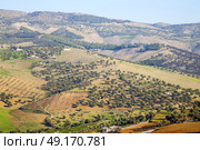 from high in the village morocco africa field and constructions. Стоковое фото, агентство Ingram Publishing / Фотобанк Лори