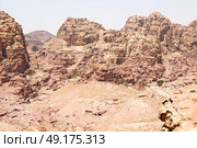 from high  the antique site of petra in jordan the beautiful wonder of the world. Стоковое фото, агентство Ingram Publishing / Фотобанк Лори