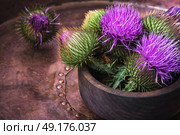 milk thistle flower. Silybum marianum.Wild medicinal plant thistle on retro background. Стоковое фото, агентство Ingram Publishing / Фотобанк Лори