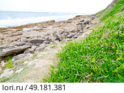 blur in south africa   sky ocean  isimagaliso reserve nature and rocks. Стоковое фото, агентство Ingram Publishing / Фотобанк Лори