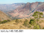 blur in swaziland     mlilwane wildlife  nature  reserve mountain and tree. Стоковое фото, агентство Ingram Publishing / Фотобанк Лори