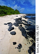  blue bay foam  in the island of deus cocos in mauritius . Стоковое фото, агентство Ingram Publishing / Фотобанк Лори