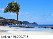 isle  asia in  kho phangan thailand bay   beach    rocks pirogue palm and south china sea . Стоковое фото, агентство Ingram Publishing / Фотобанк Лори
