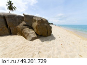 myanmar asia  kho samui bay isle froth foam   in thailand and south china sea . Стоковое фото, агентство Ingram Publishing / Фотобанк Лори