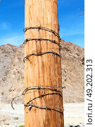 and  in oman barbwire danger  in the   background . Стоковое фото, агентство Ingram Publishing / Фотобанк Лори