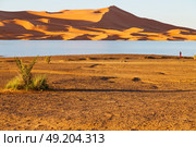 sunshine in the desert of morocco sand and  lake        dune. Стоковое фото, агентство Ingram Publishing / Фотобанк Лори